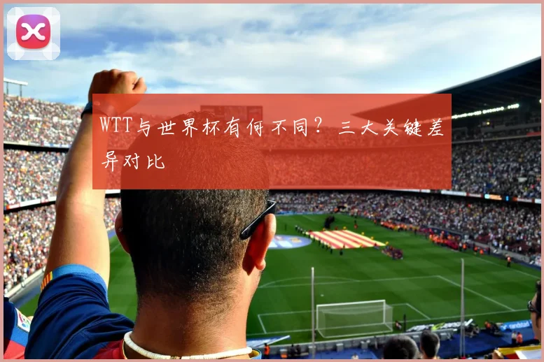 WTT与世界杯有何不同?三大关键差异对比