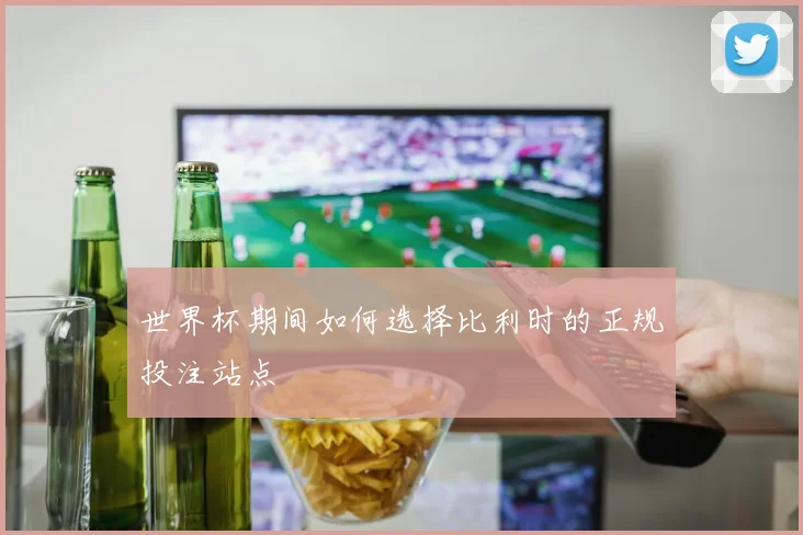 世界杯期间如何选择比利时的正规投注站点