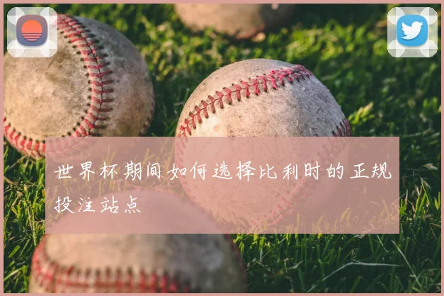 世界杯期间如何选择比利时的正规投注站点