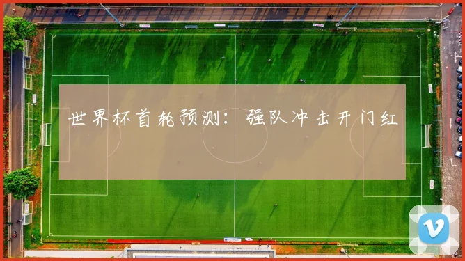 世界杯首轮预测：强队冲击开门红