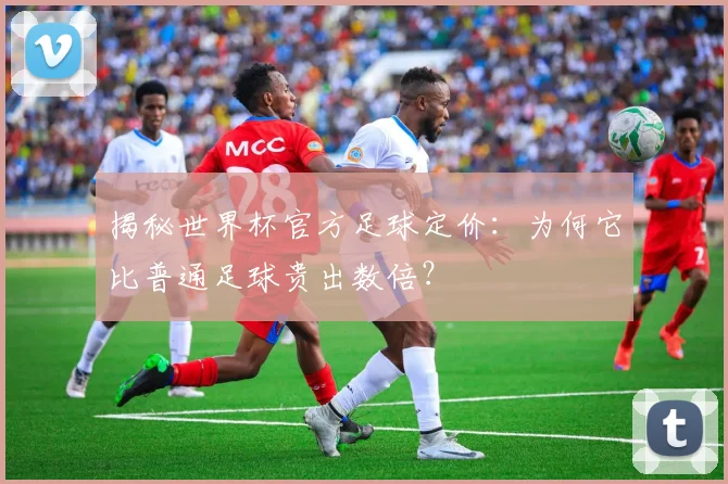揭秘世界杯官方足球定价：为何它比普通足球贵出数倍？