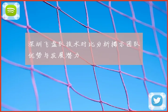 深圳飞盘队技术对比分析揭示团队优势与发展潜力