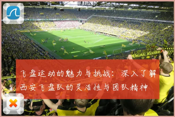 飞盘运动的魅力与挑战:深入了解西安飞盘队的灵活性与团队精神