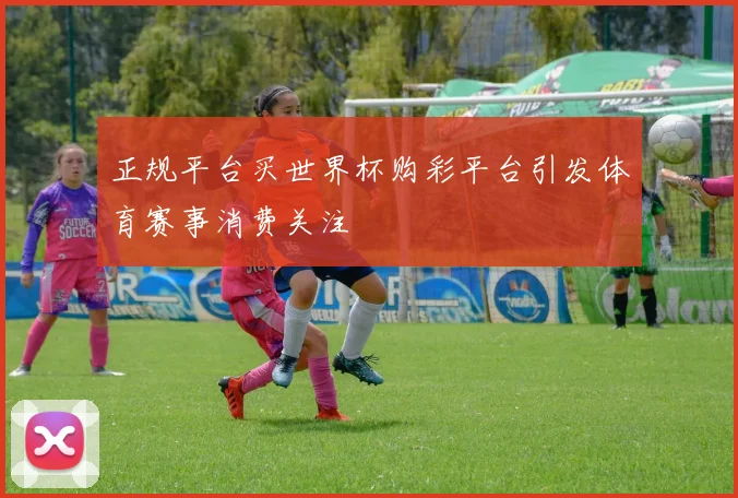 正规平台买世界杯购彩平台引发体育赛事消费关注
