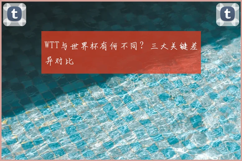 WTT与世界杯有何不同？三大关键差异对比