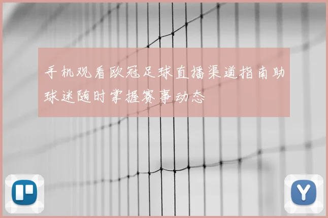 手机观看欧冠足球直播渠道指南助球迷随时掌握赛事动态