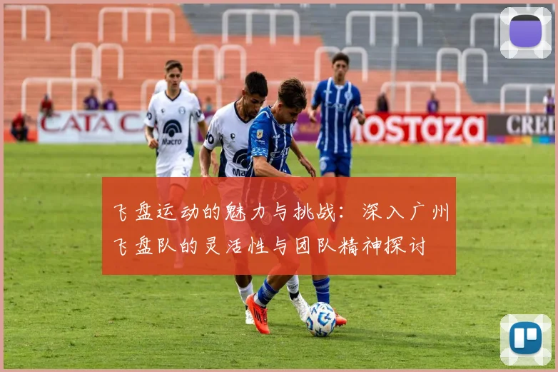 飞盘运动的魅力与挑战：深入广州飞盘队的灵活性与团队精神探讨